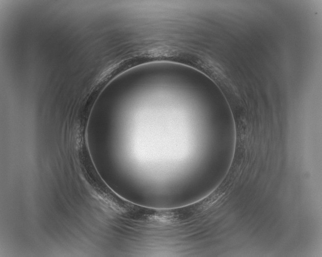X0000058130164200509231128