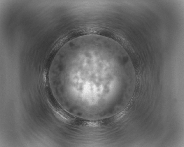 X0000058130166200509231128