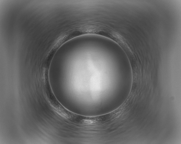 X0000058130167200509231128