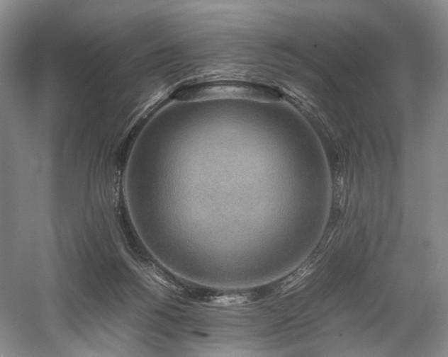 X0000058130168200509231128