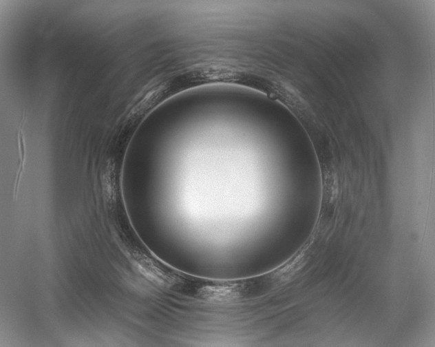 X0000058130170200509231128