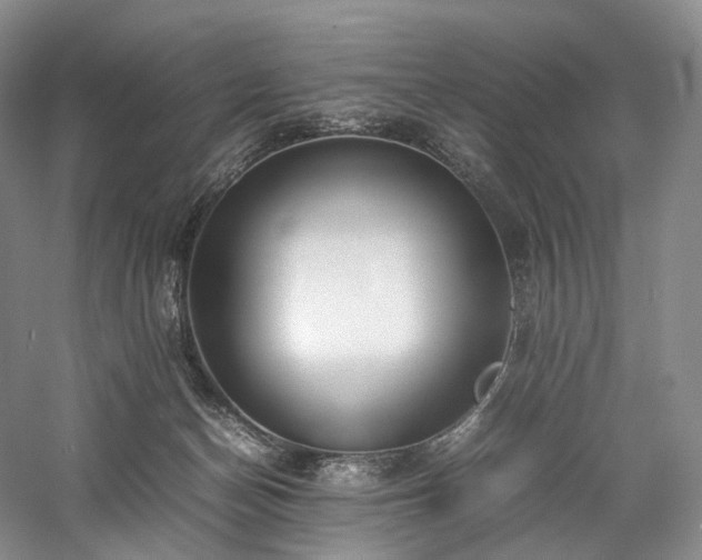 X0000058130174200509231128