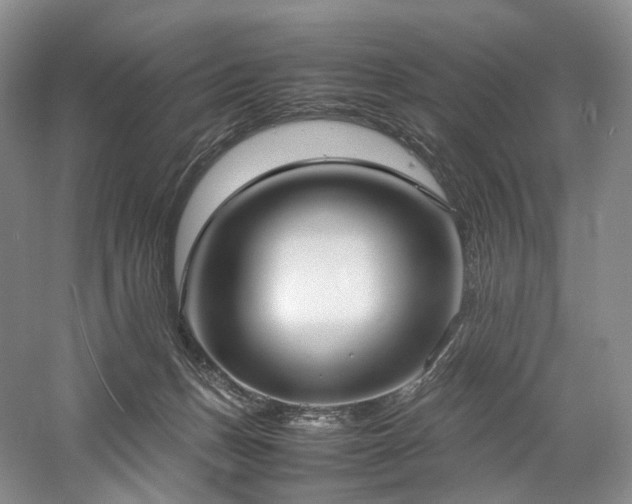 X0000058130175200509231128