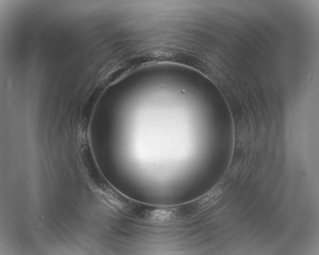 X0000058130176200509231128