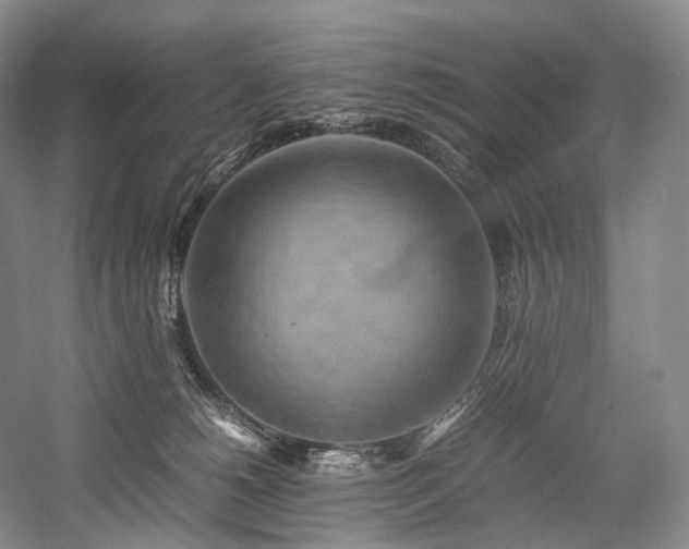 X0000058130180200509231128