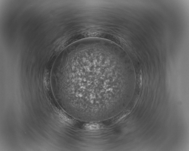 X0000058130181200509231128