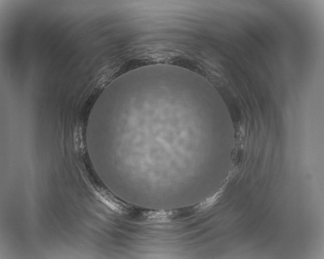 X0000058130182200509231128