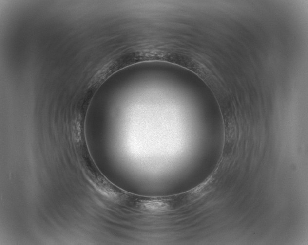 X0000058130183200509231128