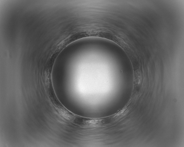 X0000058130184200509231128