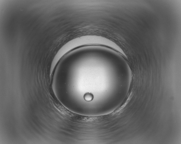 X0000058130186200509231128