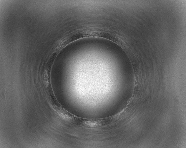 X0000058130187200509231128
