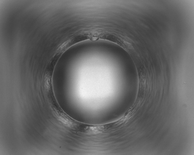 X0000058130188200509231128