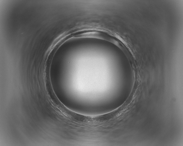 X0000058130199200509231127