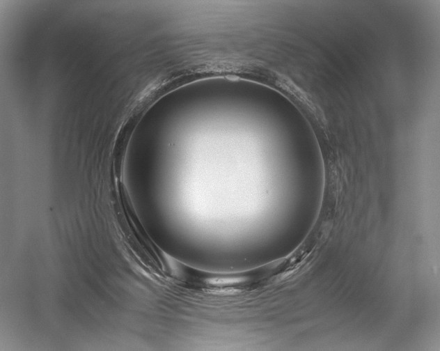 X0000058130203200509231127