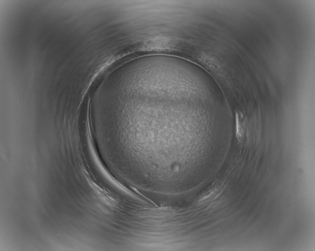 X0000058130204200509231127