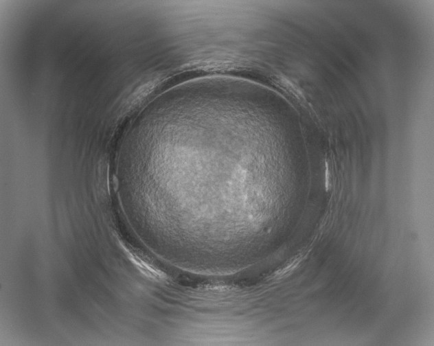 X0000058130205200509231127