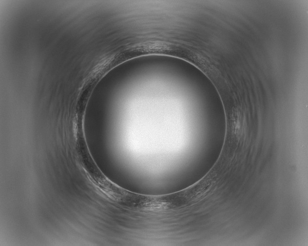 X0000058130206200509231127