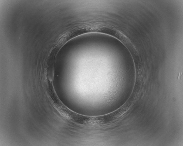 X0000058130209200509231127