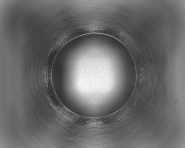 X0000058130210200509231127