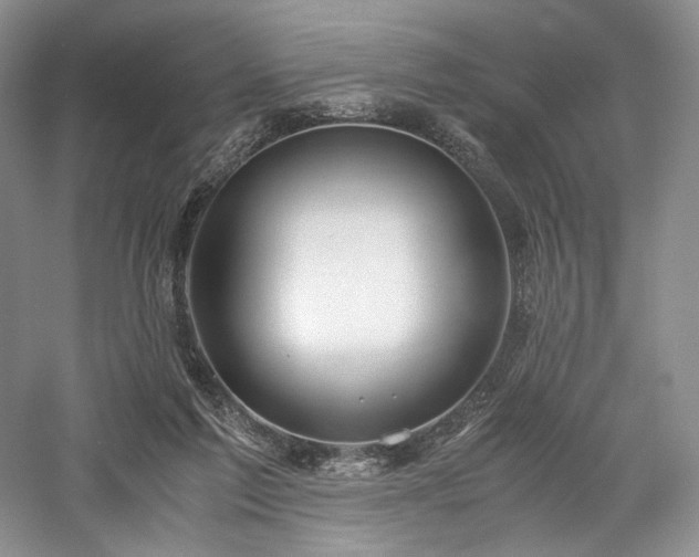 X0000058130213200509231127