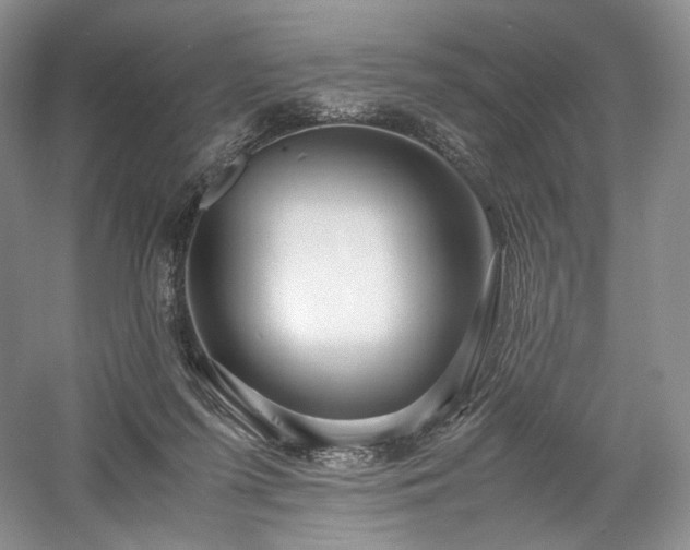 X0000058130215200509231127