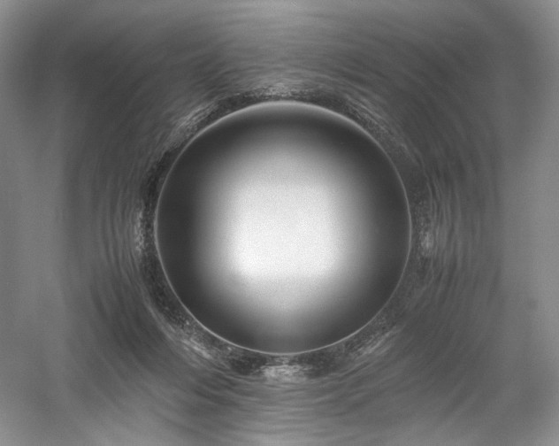 X0000058130216200509231127