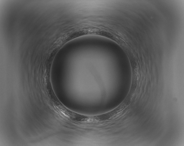 X0000058130223200509231127