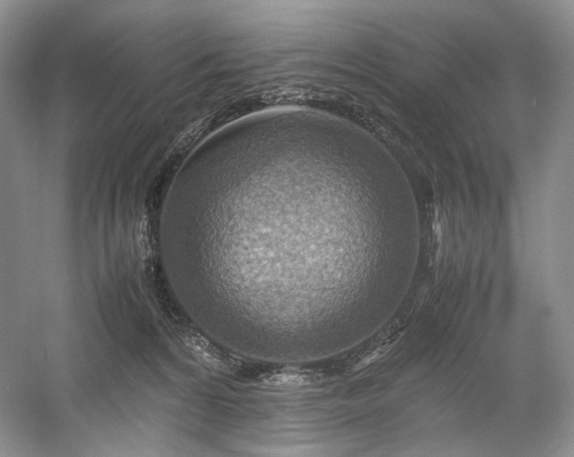 X0000058130224200509231127