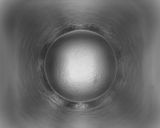 X0000058130225200509231127