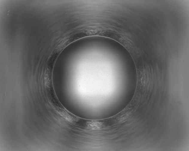 X0000058130226200509231127