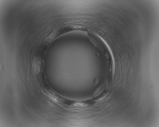 X0000058130227200509231127