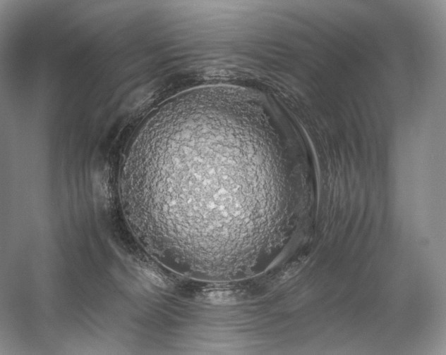 X0000058130228200509231127
