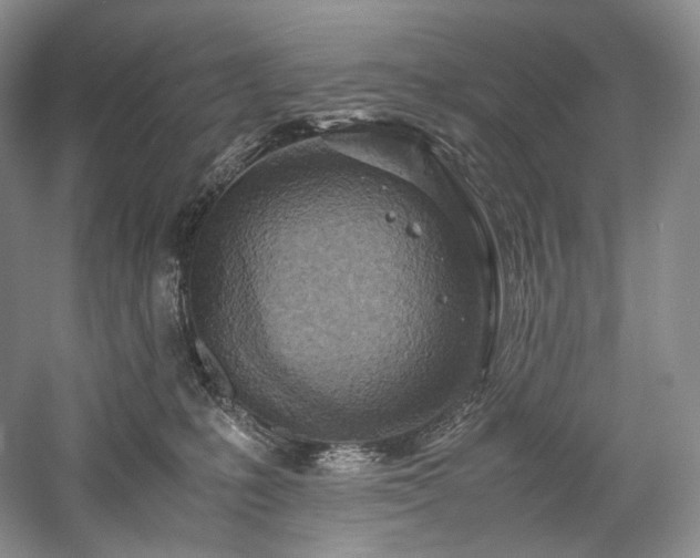 X0000058130231200509231127