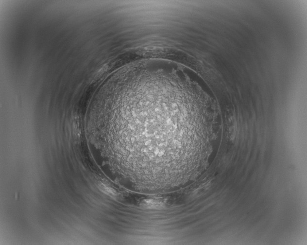 X0000058130232200509231127