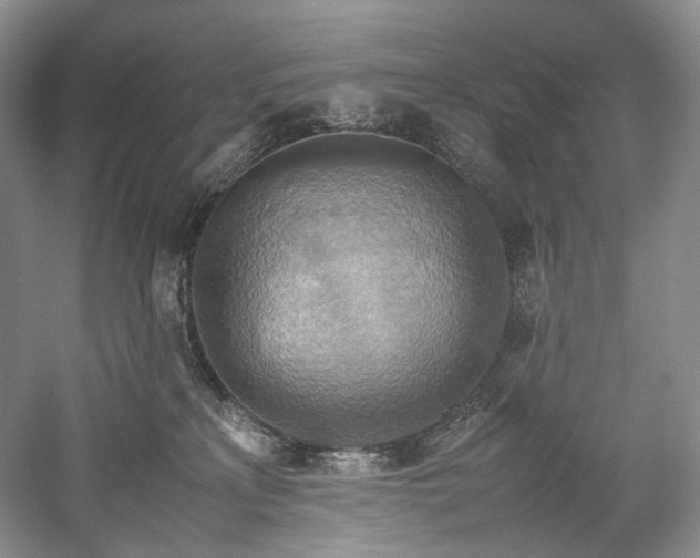 X0000058130233200509231127