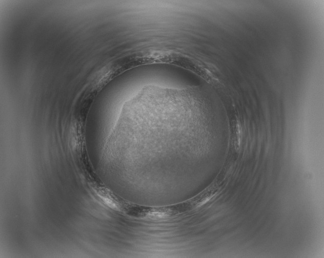 X0000058130236200509231127