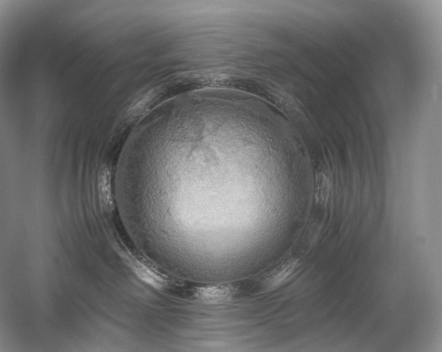 X0000058130238200509231127
