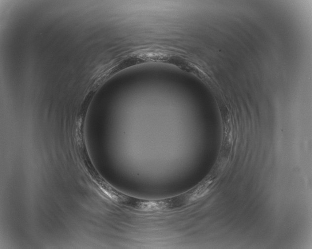 X0000058130239200509231127