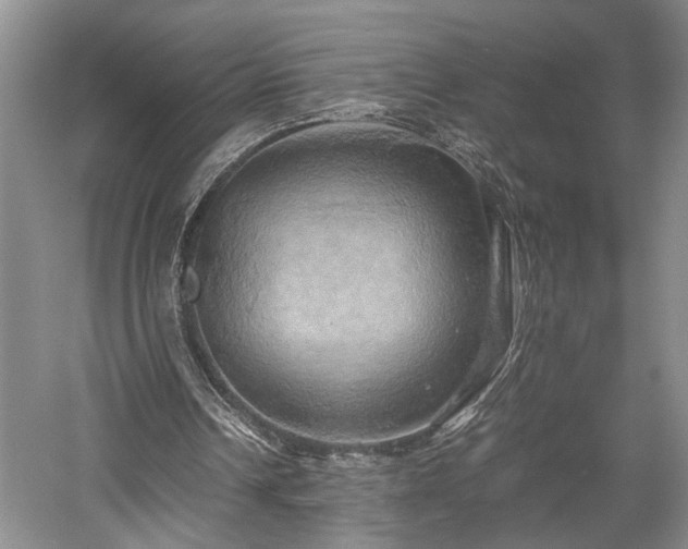 X0000058130242200509231126
