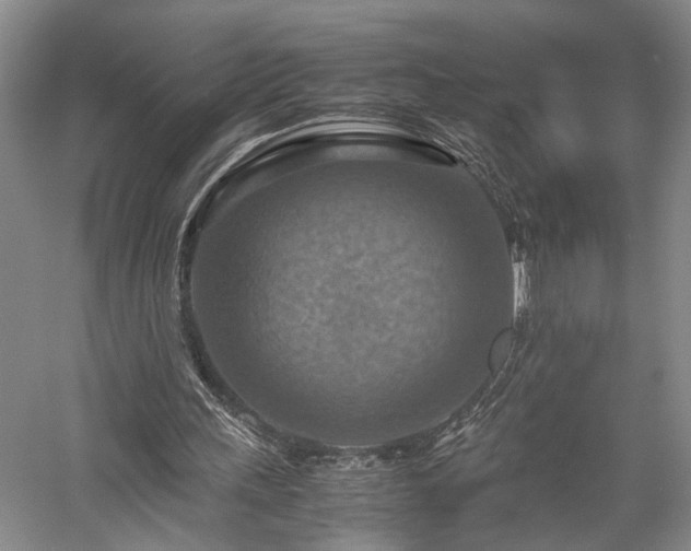 X0000058130243200509231126
