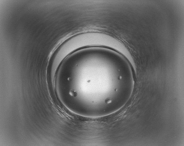 X0000058130244200509231126
