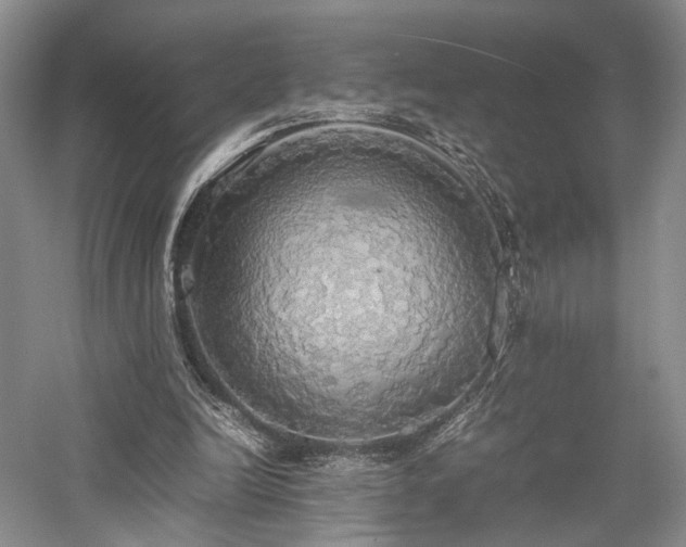 X0000058130246200509231126