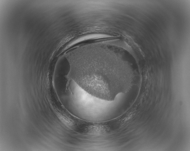 X0000058130250200509231126