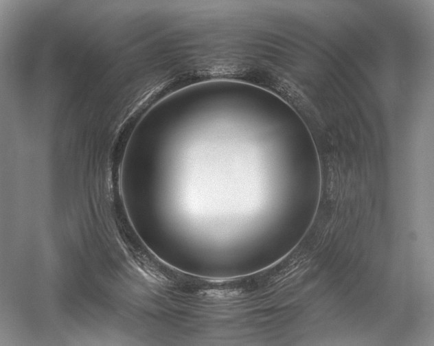 X0000058130251200509231126