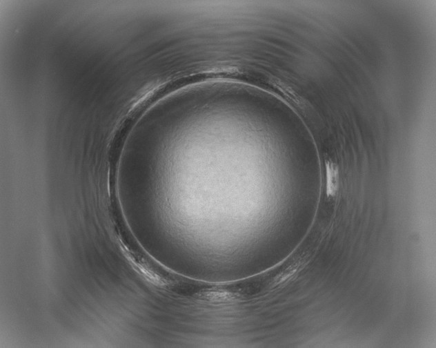 X0000058130253200509231126