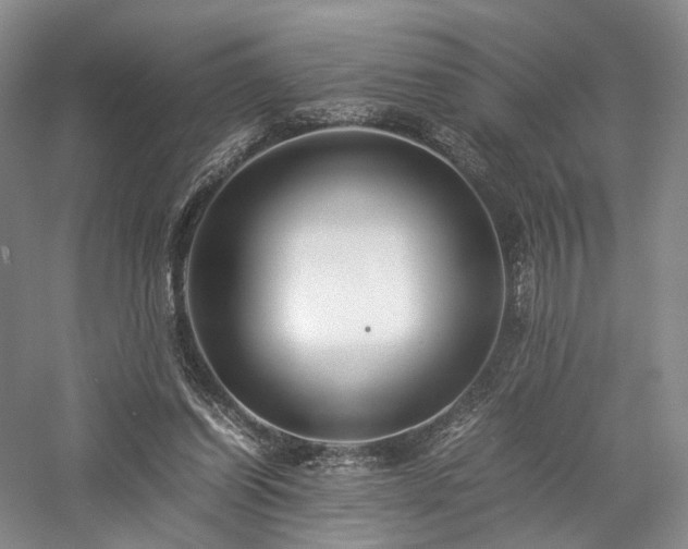 X0000058130254200509231126
