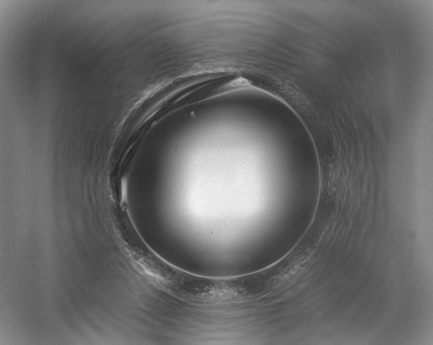 X0000058130256200509231126