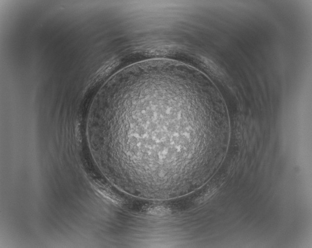 X0000058130258200509231126