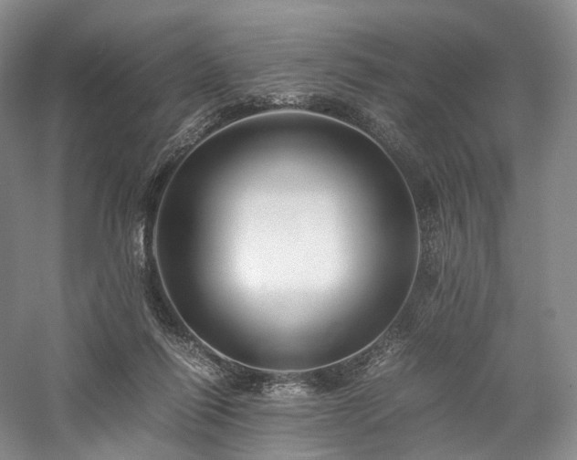 X0000058130262200509231126
