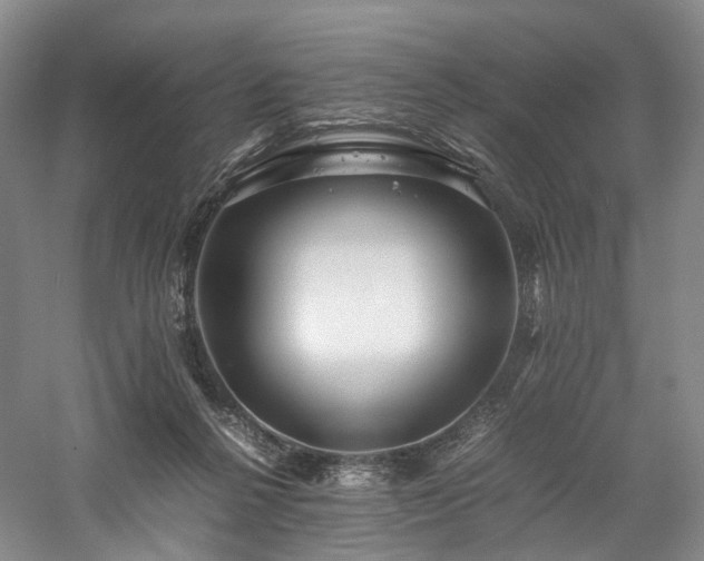 X0000058130264200509231126